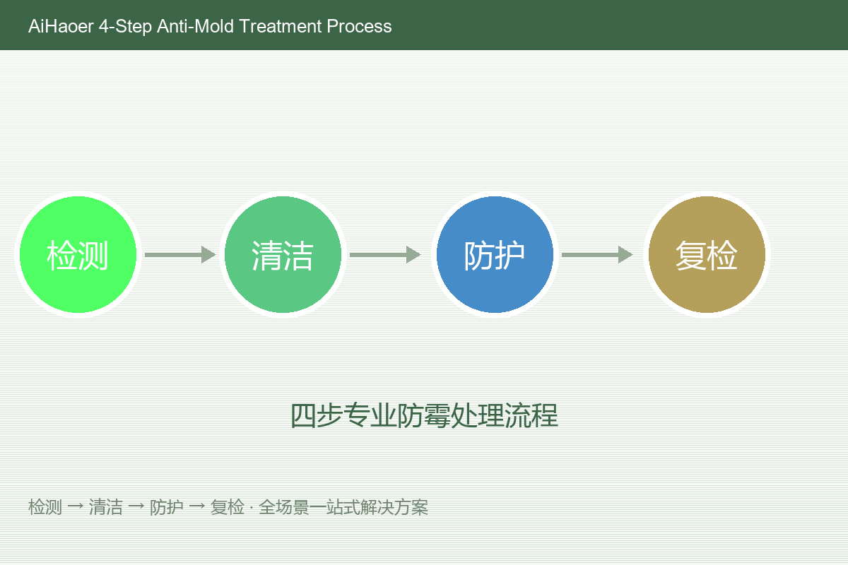 AiHaoer 4-step anti-mold process: Inspection, Cleaning, Protection, Recheck